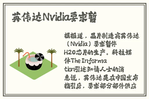 晚上睡不着偷偷看B站大全